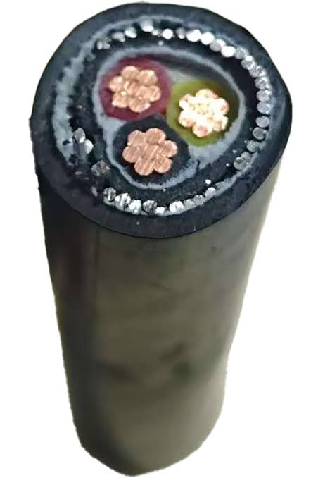 ASL/WEST ARMOURED CABLE SIZE 10.0MM 3CORE PER METER