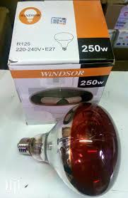WINDSOR CHICKEN BULB